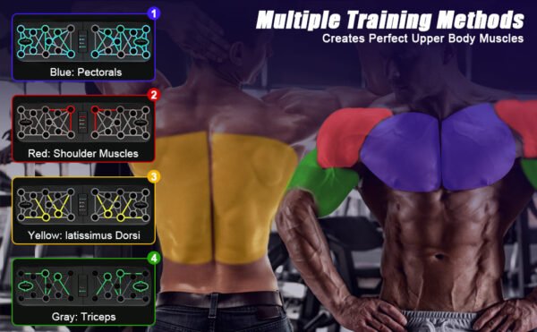 Kit de Gym à Domicile Multi-Usage – Image 2